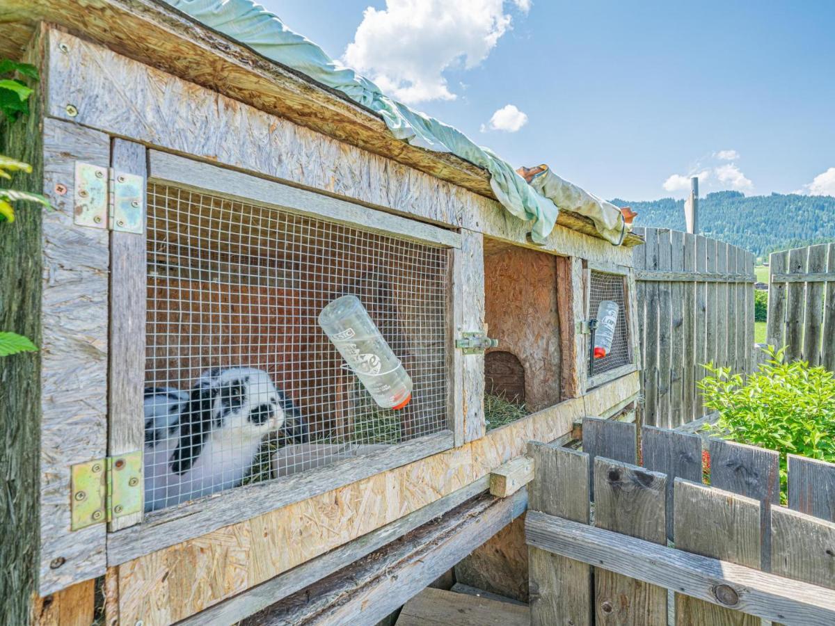 Haus Sarah Lägenhet Hopfgarten im Brixental Exteriör bild